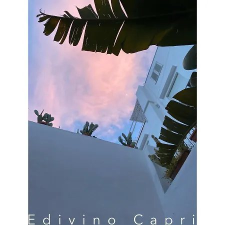 Edivino Design לינה וארוחת בוקר קאפרי