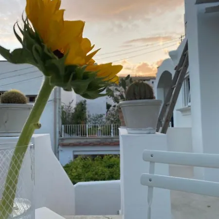 Edivino Design * Capri