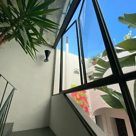 Edivino Design * Capri
