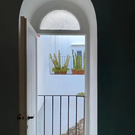 Edivino Design * Capri