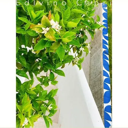 Edivino Design Bed & Breakfast Capri