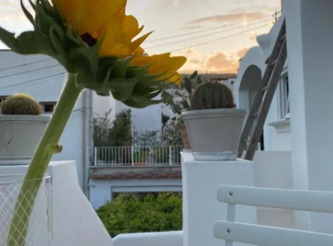 Edivino Design 3* 卡普里